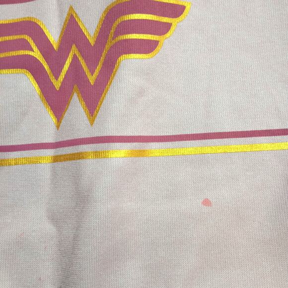 Six Flags Theme Park Wonder Women Adult Hoodie Pink - Picture 3 of 12